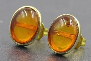 9ct Yellow Gold Amber Stud Earrings